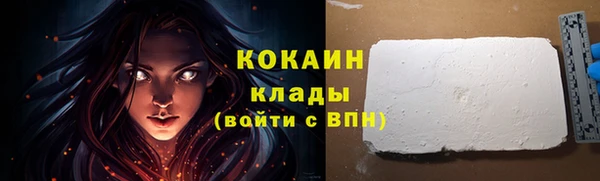 бошки Осинники