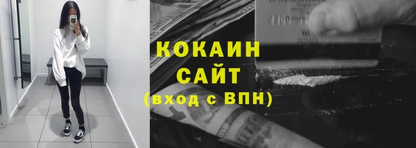 прущие грибы Няндома