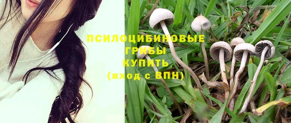 бошки Осинники
