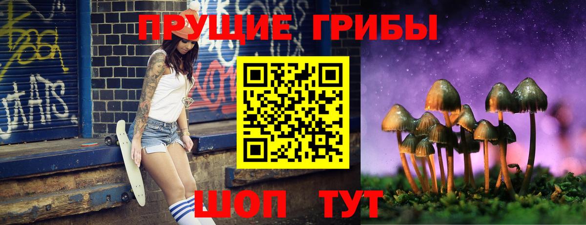 Галлюциногенные грибы Psilocybe Людиново